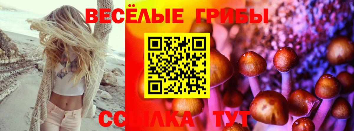Галлюциногенные грибы мицелий Зеленокумск